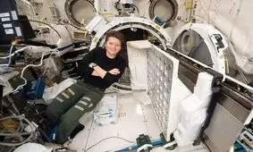 ناسا اتهام علیه یکی از فضانوردان مستقر در ایستگاه فضایی بین المللی خود را بررسی می کند / دسترسی به حساب های بانکی مجازی در طول ماموریت فضایی