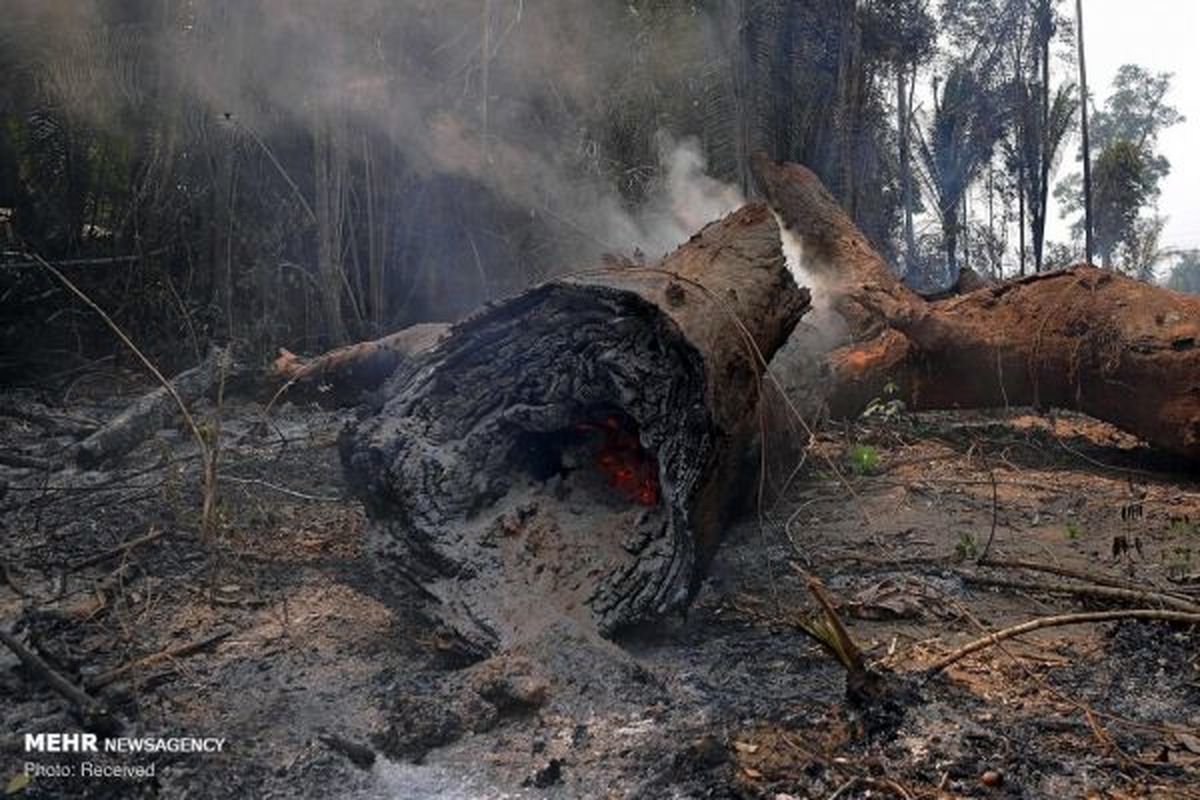 ادامه آتش سوزی در جنگل های آمازون‎+ عکس