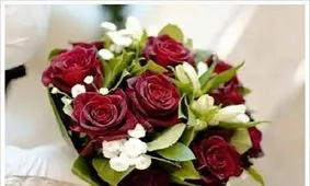 اولین نوروز با نامزد محترم