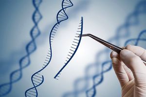 منظور از ژن درمانی چیست؟ + بررسی نحوه عملکرد ژن‌ها