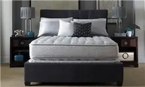 سهم «بافت پوستی مردهن و «کنه‌ها» در افزایش وزن بالش