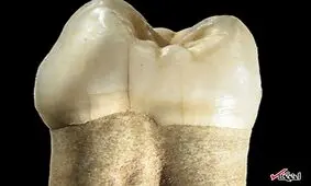 یک غار ایرانی، یک دندان نئاندرتال و یک راز قتل عصر یخبندان