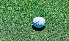 فیلم| نیسان از یک توپ گلف خودران رونمایی کرد !