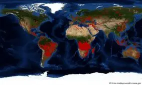 وضعیت خطرناک آتش‌سوزی‌های جنگلهای آنگولا و کنگو