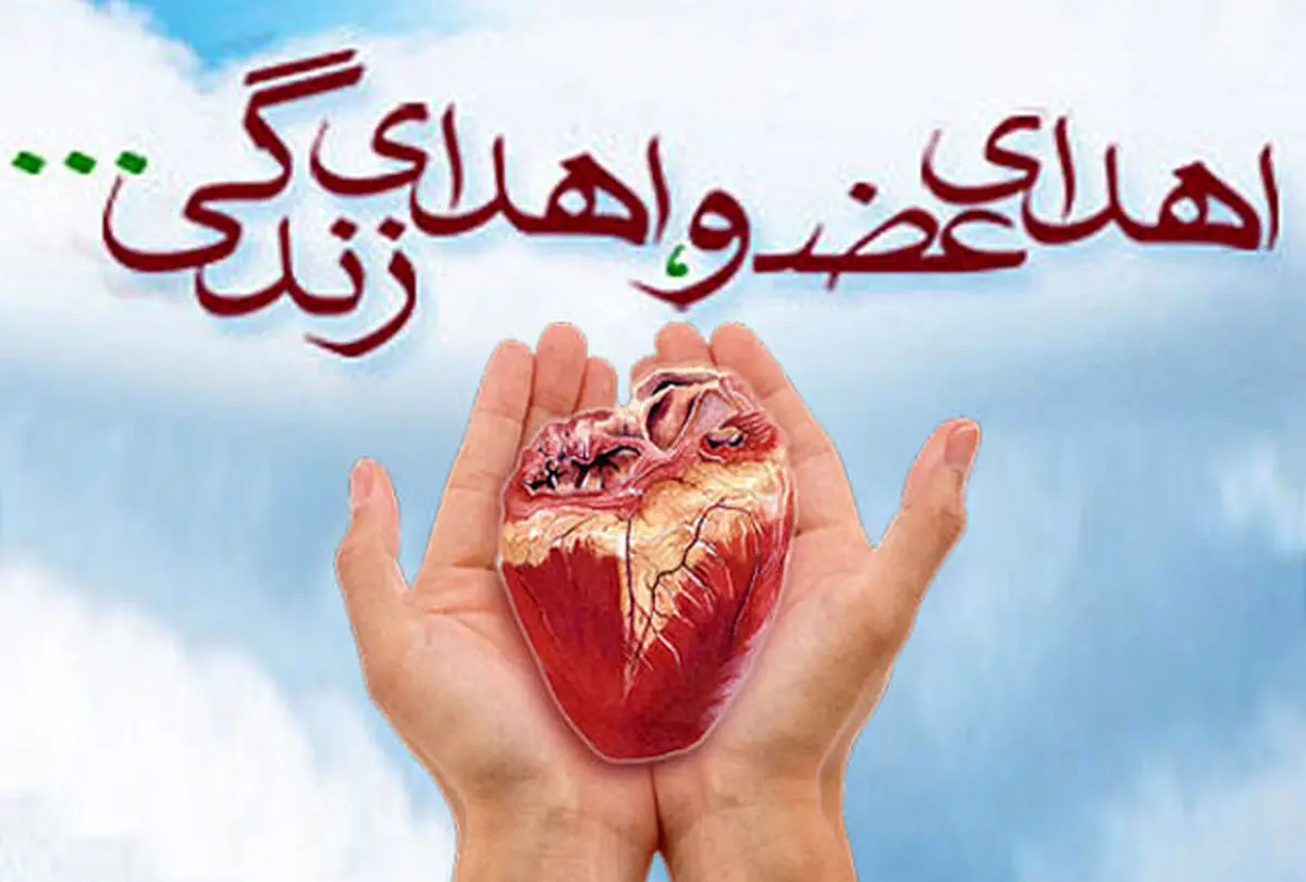 هشدار نسبت به کمبود عضو اهدائی در کشور/ اعضای بدن ۳ هزار بیمار مرگ مغزی اهدا نشد