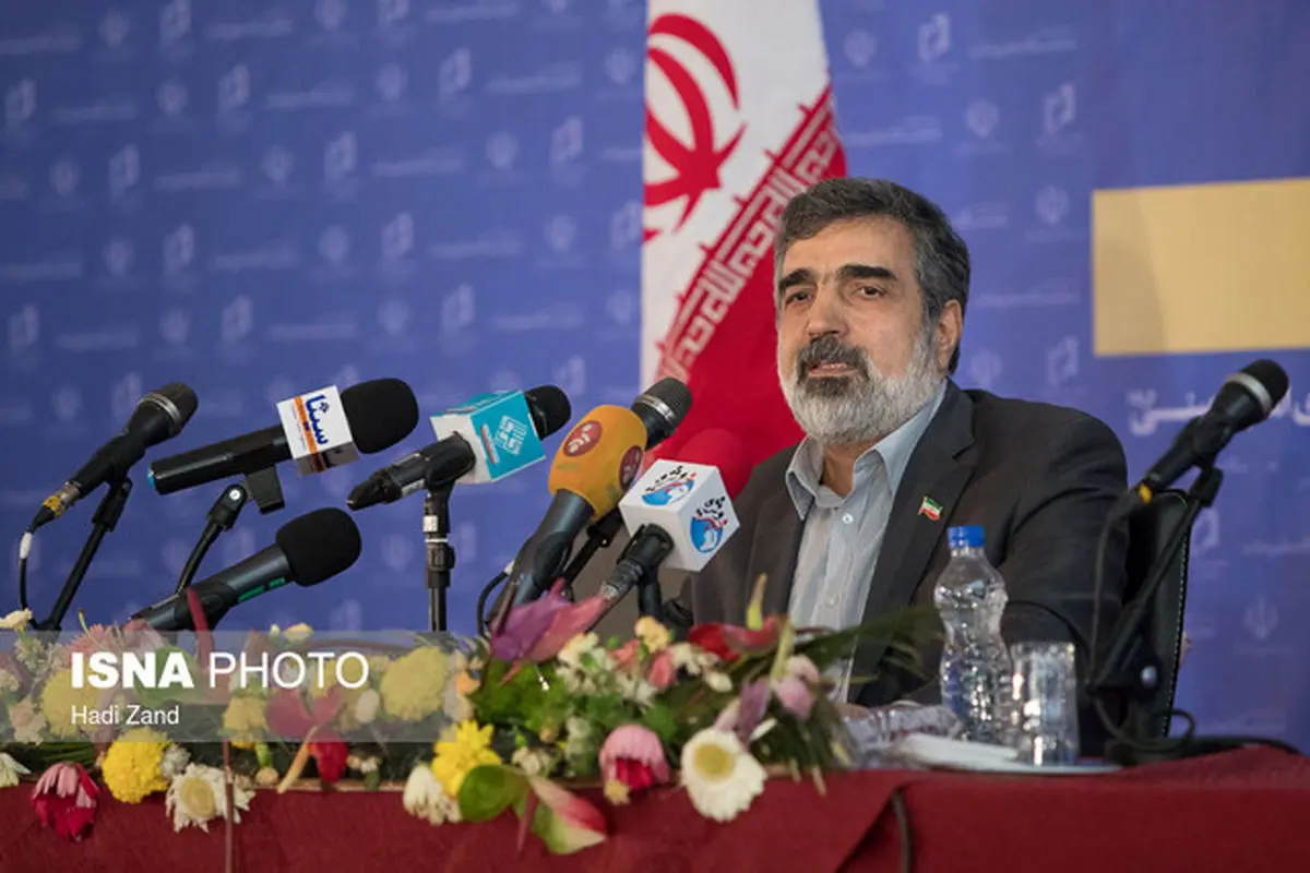 کمالوندی: غنی سازی به یک میلیون سو می رسد/ فعلا در نظارت و دسترسی آژانس تغییری ایجاد نمی کنیم