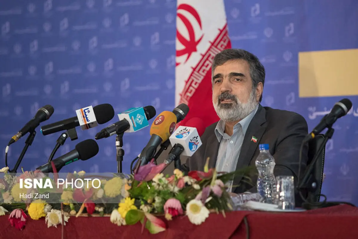کمالوندی: غنی سازی به یک میلیون سو می رسد/ فعلا در نظارت و دسترسی آژانس تغییری ایجاد نمی کنیم
