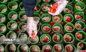 طبخ نذری دیزی در هیأت عزاداری «علقمه شهیدیه» میبد+ عکس