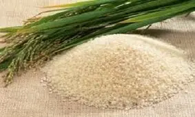 کاهش ۲۰ درصدی نرخ بلیت هواپیما در راه است/جزئیات تغییرات قیمتی ۲۶ کالای اساسی