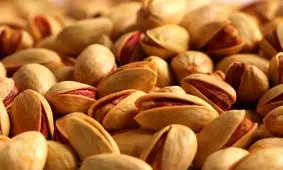 کدام کشورها از ایران پسته می‌خرند؟