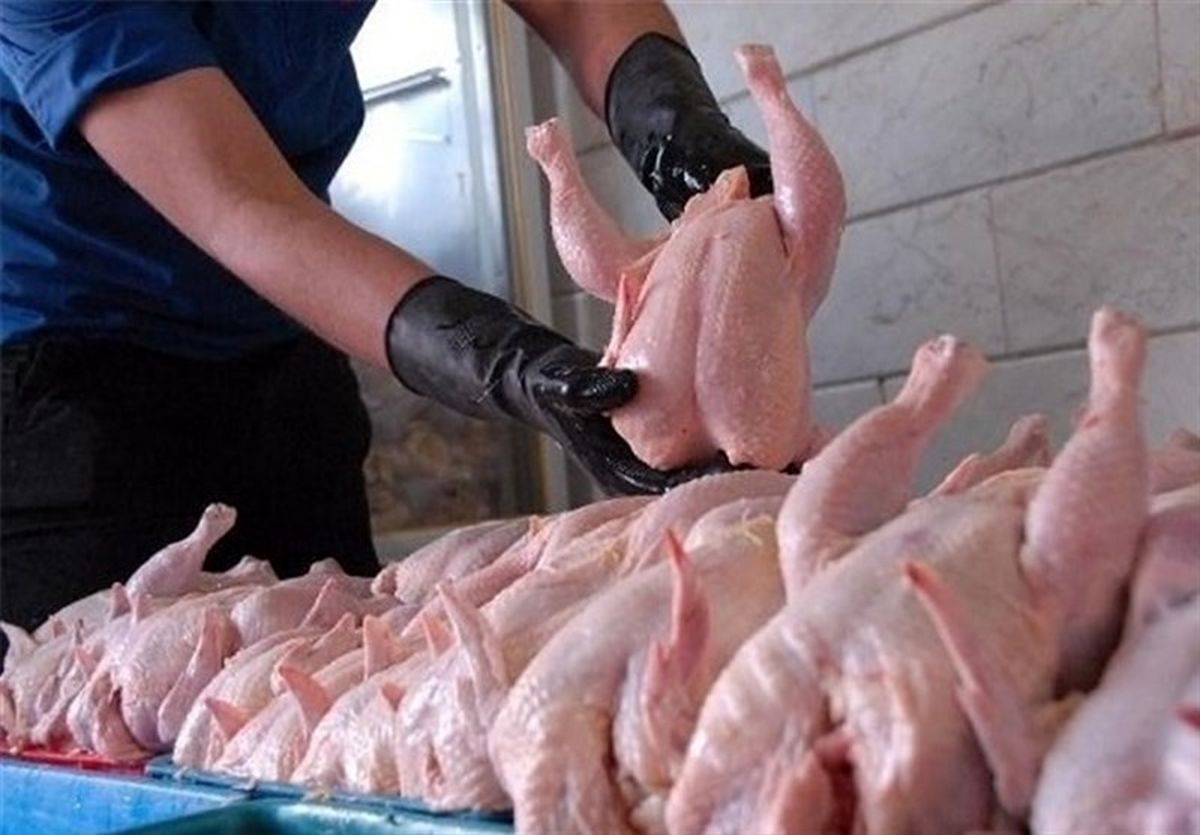 ثبات نرخ مرغ در بازار ادامه دار شد / قیمت هر کیلو مرغ ۱۴ هزار تومان