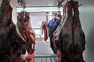 گوشت گوسفند در خراسان رضوی ۲۲ درصد گران شده است