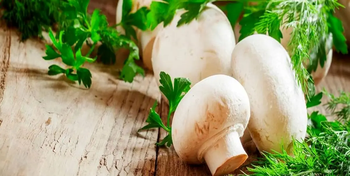 قیمت انواع قارچ در میادین میوه و تره بار