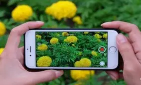 چگونه نور یک ویدئو را قبل و پس از ضبط در آیفون روشن کنید