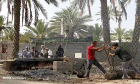 طبخ حلیم سنتی در فین بندرعباس+ عکس