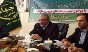 تولید گندم در آذربایجان غربی به ۷۳۰ هزار تن رسید