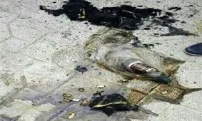 خانواده ای ۴ نفری قربانی حادثه اسیدپاشی در شهرضا/ وضع کنونی هر ۴ نفر مساعد است