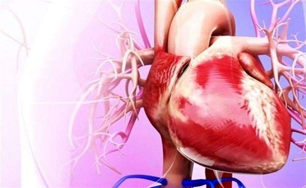 مؤثرترین راهکارها برای خداحافظی با چربی دور قلب