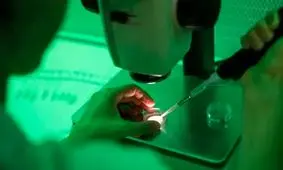 گاف عجیب کلینیک درمان ناباروری منجر به طلاق یک زن و شوهر شد / زوج آمریکایی فرزند آسیایی به دنیا آوردند!