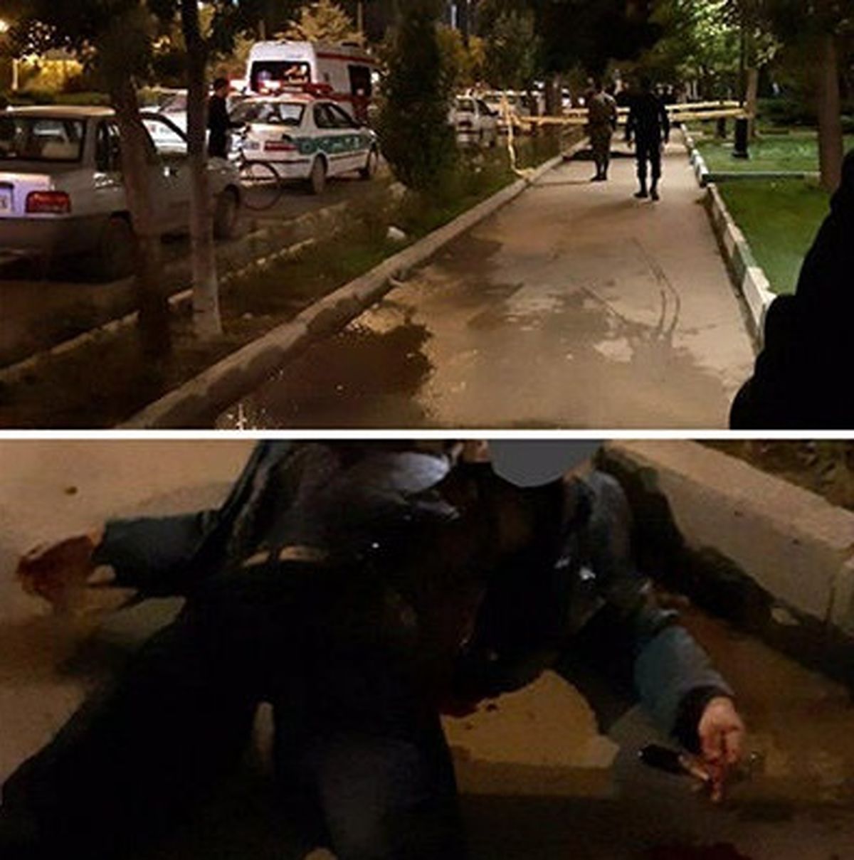 کشته شدن مرد اردبیلی توسط یک زن و مرد در مقابل دانشگاه