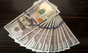 نرخ ارز در بازار امروز یکشنبه ۲۴ شهریور ۹۸ / قیمت دلار در بازار آزاد به ۱۱۳۱۰ تومان رسید