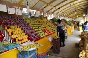 حذف واسطه‌ها از عرضه میوه در بازارهای شهرداری مشهد