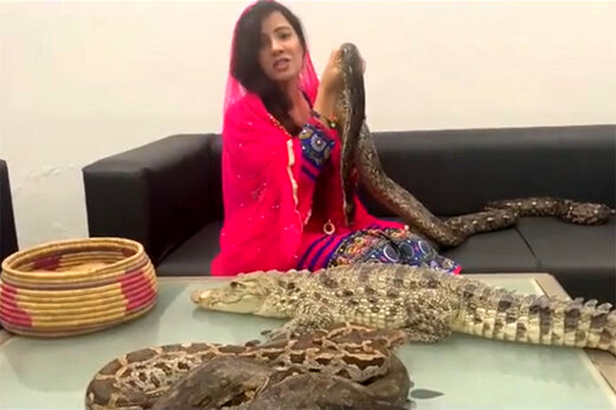 خواننده معروف پاکستانی، نخست وزیر هند را با مار و تمساح تهدید کرد
