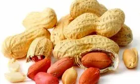 ابداع داروی ضدآلرژی جدید برای کودکان