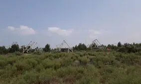 گردشگری در آشوراده اقتصادی نیست / آشوراده هاوایی نمی‌شود