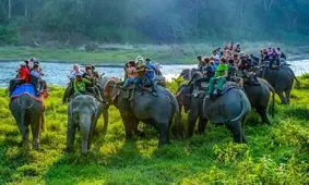 عکاس ایرانی موفق به دریافت جایزه DIGIPIX از هند شد