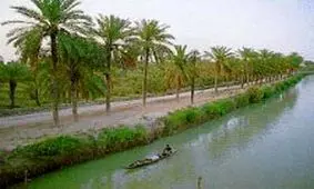 محکومیت مدیر متخلف ماهشهر، در جیوه‌آلوده ترین نقطه دنیا