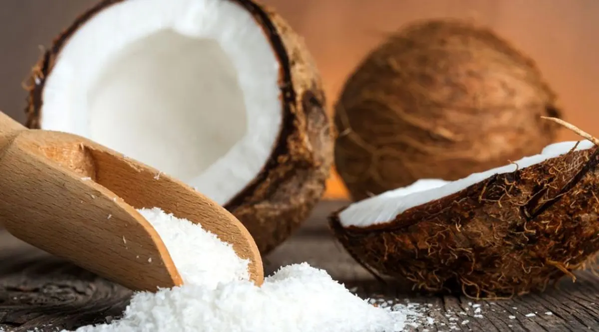 خرید پودر نارگیل چقدر هزینه دارد؟