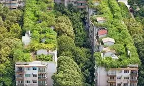 خانه‌های خنک در تابستان داغ بدون داشتن کولر