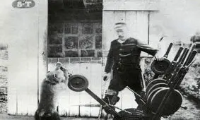 جک؛ میمونی که کارمند رسمی راه‌آهن شد!