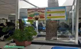 خلاقیت در ساخت بیمارستان بیرجند+ عکس