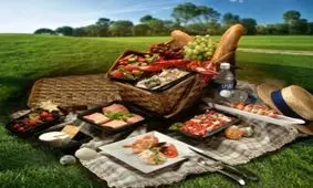 بهداشت خوراکی‌ها در سفر