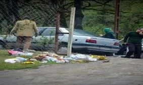 بحران زباله‌پراکنی در طبیعت در ایام نوروز و سیزده‌بدر