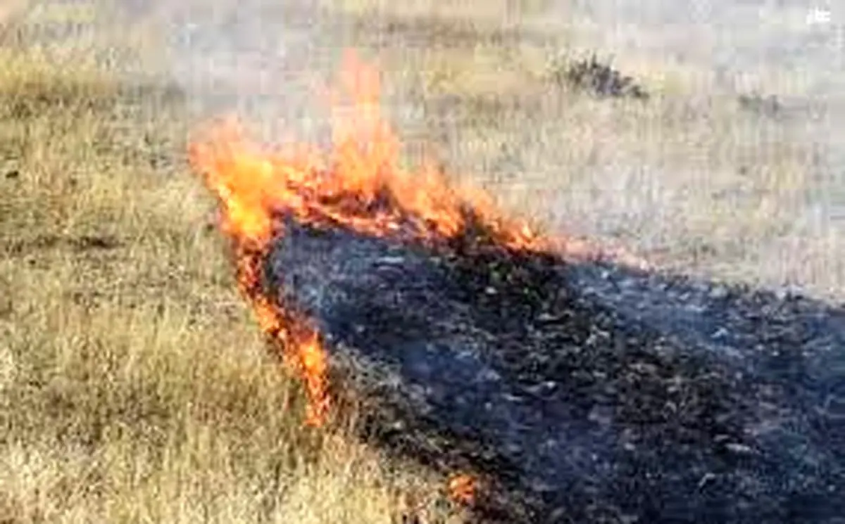 پرونده قضایی برای آتش‌سوزی در منطقه گردشگری ساردوئیه تشکیل شد