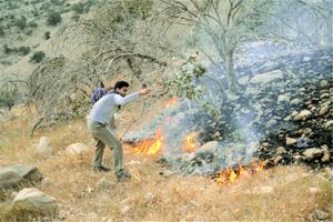 ۱۸ آتش‌سوزی در اراضی منابع طبیعی شهرستان رامیان رخ داد