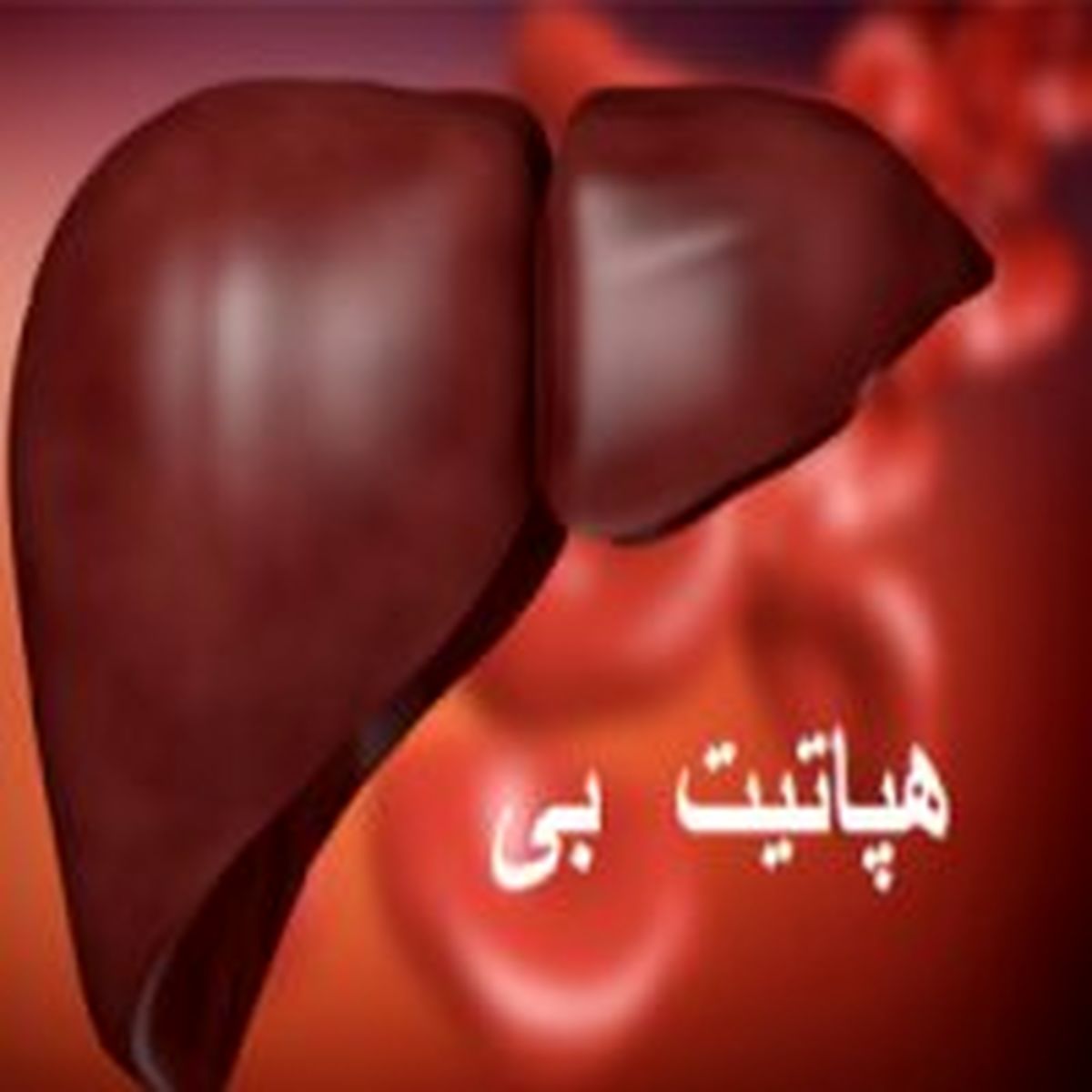 کاهش چشمگیر مبتلایان به بیماری هپاتیت بی / واکسیناسیون هپاتیت بی تحت پوشش بیمه است