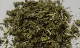 کشف مزرعه کشت ماده مخدر گل
