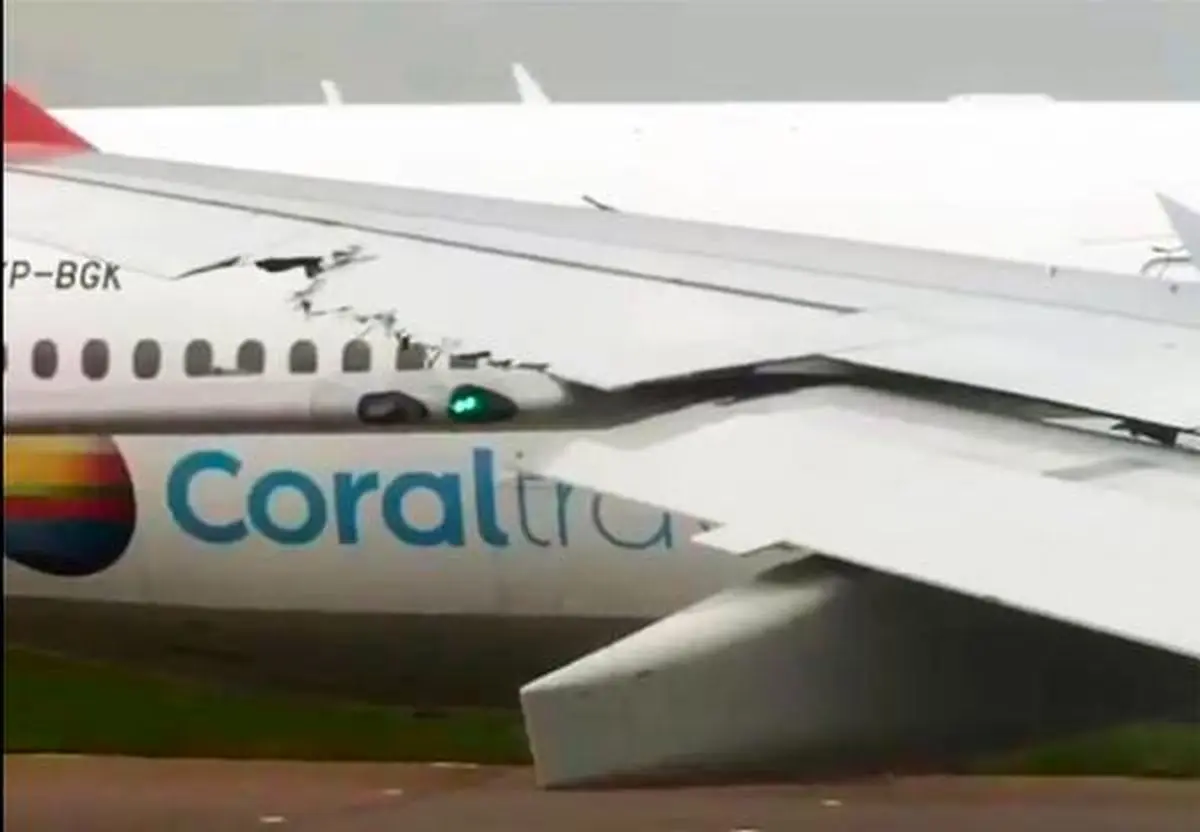 سانحه برخورد بال دو هواپیما با صدها مسافر!