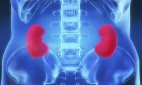 تاثیر وحشتناک سیگار بر کلیه ها