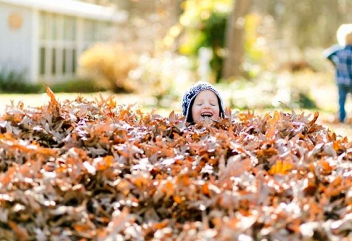 چرا هوای پاییزی بوی بینظیری دارد؟