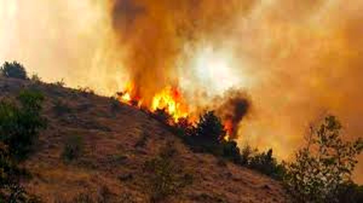 عاملان آتش‌سوزی جنگل‌های ارسباران بازداشت شدند
