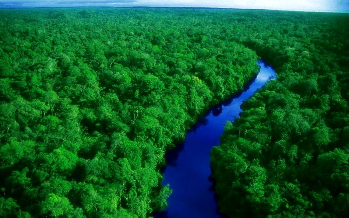 اگر جنگل آمازون کاملاً بسوزد چه اتفاقی می‌افتد؟