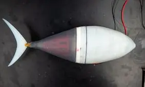 ساخت ماهی روباتیک اقیانوس‌پیما