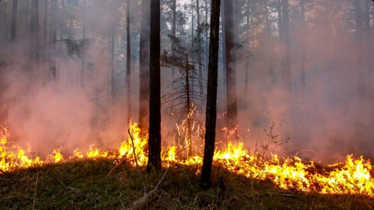 آتش‌سوزی مراتع در سالندکوه دزفول مهار شد