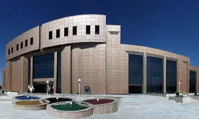 رایزنی کمیته ملی المپیک با مقامات بین المللی برای رفع تعلیق جودو