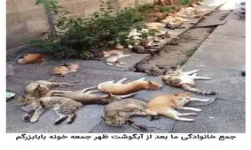 شوخی‌های جالب شبکه‌های اجتماعی